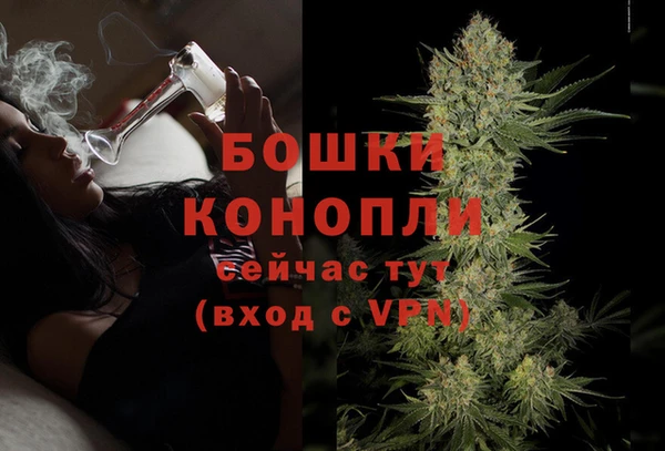 ALPHA PVP Няндома