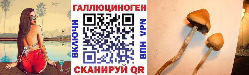 где можно купить   это наркотические препараты  Галлюциногенные грибы GOLDEN TEACHER  Борисоглебск  МЕГА ONION 