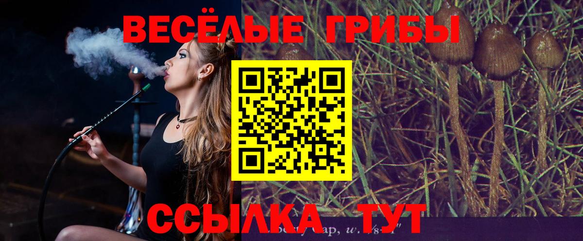 Псилоцибиновые грибы прущие грибы Борисоглебск