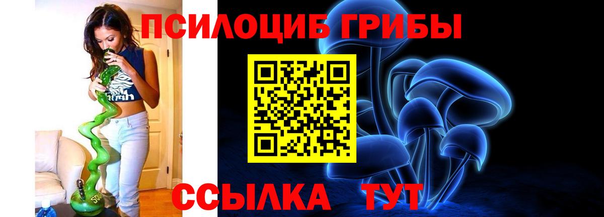 Псилоцибиновые грибы MAGIC MUSHROOMS  Галлюциногенные грибы Cubensis  Вход с VPN  Борисоглебск 