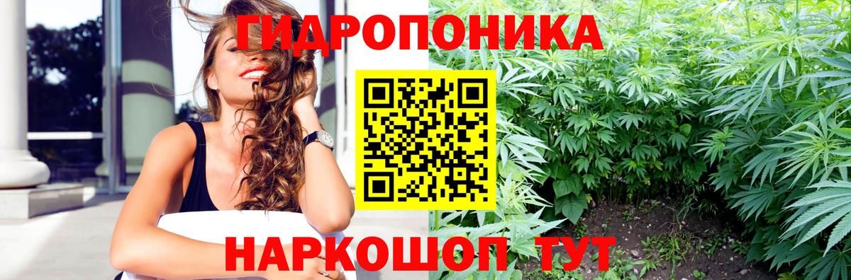 Каннабис OG Kush Борисоглебск